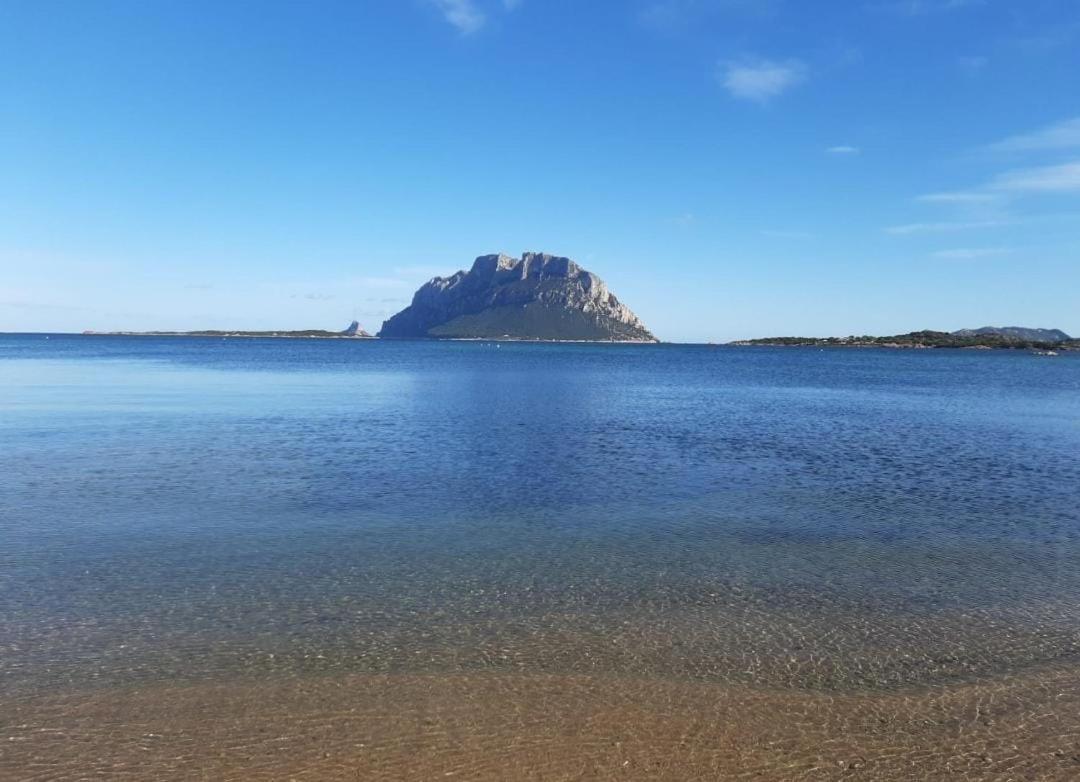 Magic Dalu Con Posto Auto Apartman Olbia Kültér fotó